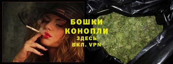 гашик Богданович