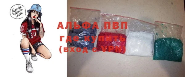 гашик Богданович