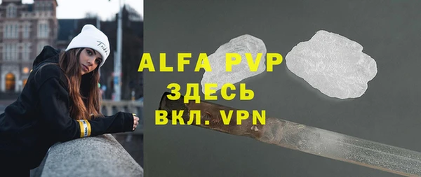 гашик Богданович