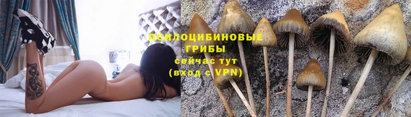 винт Богородицк