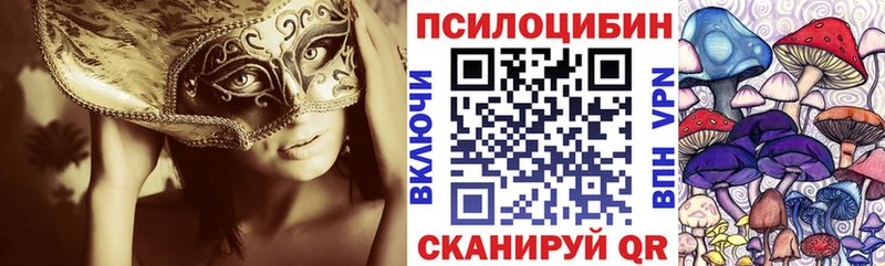Псилоцибиновые грибы мицелий  Губаха 
